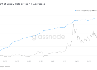 Chainlink Whales own 81% LINK tokens chainlink whales LINK