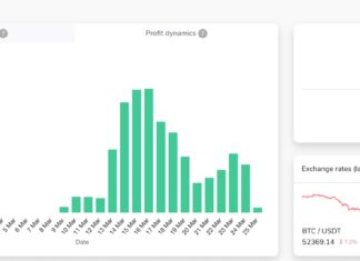 Report: Week Zero in Crypto Trading Bot Experiment