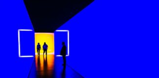 Legal Requirements, Risks, Issues around NFTs: Guide for Start-ups nft legal risks